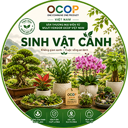 Sinh vật cảnh